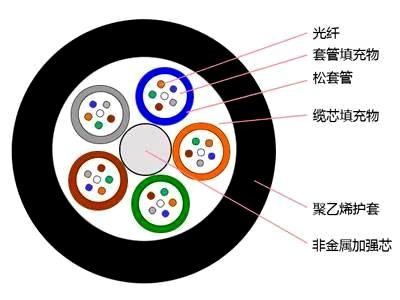 24芯单模光纤